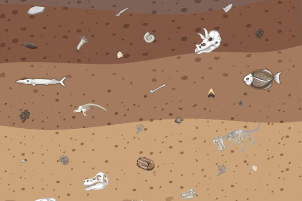 Fóssil de predador mais antigo do mundo pode ter sido descoberto por cientistas