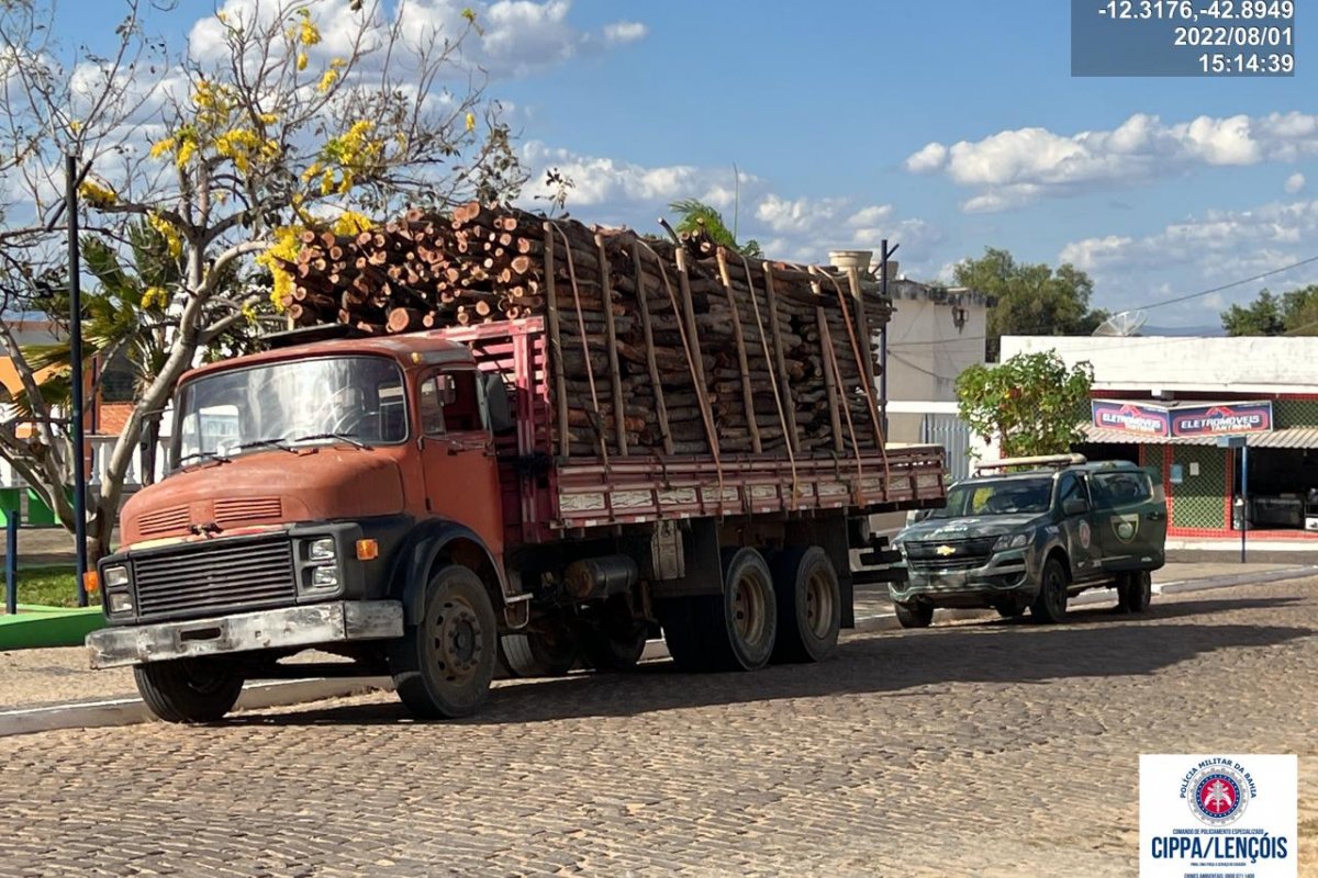 Polícia Militar apreende madeira irregular em Oliveira de Brejinhos (BA)