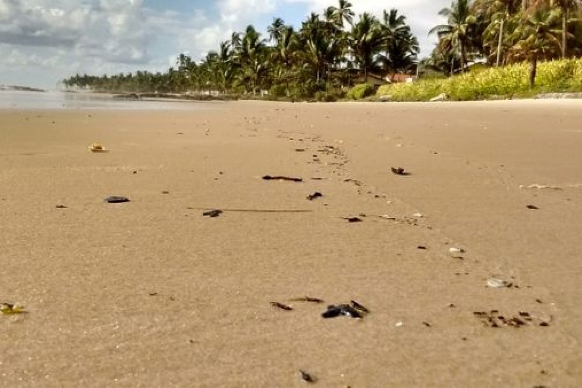Manchas de óleo: Inema divulga lista com praias impróprias para banho no sul da Bahia
