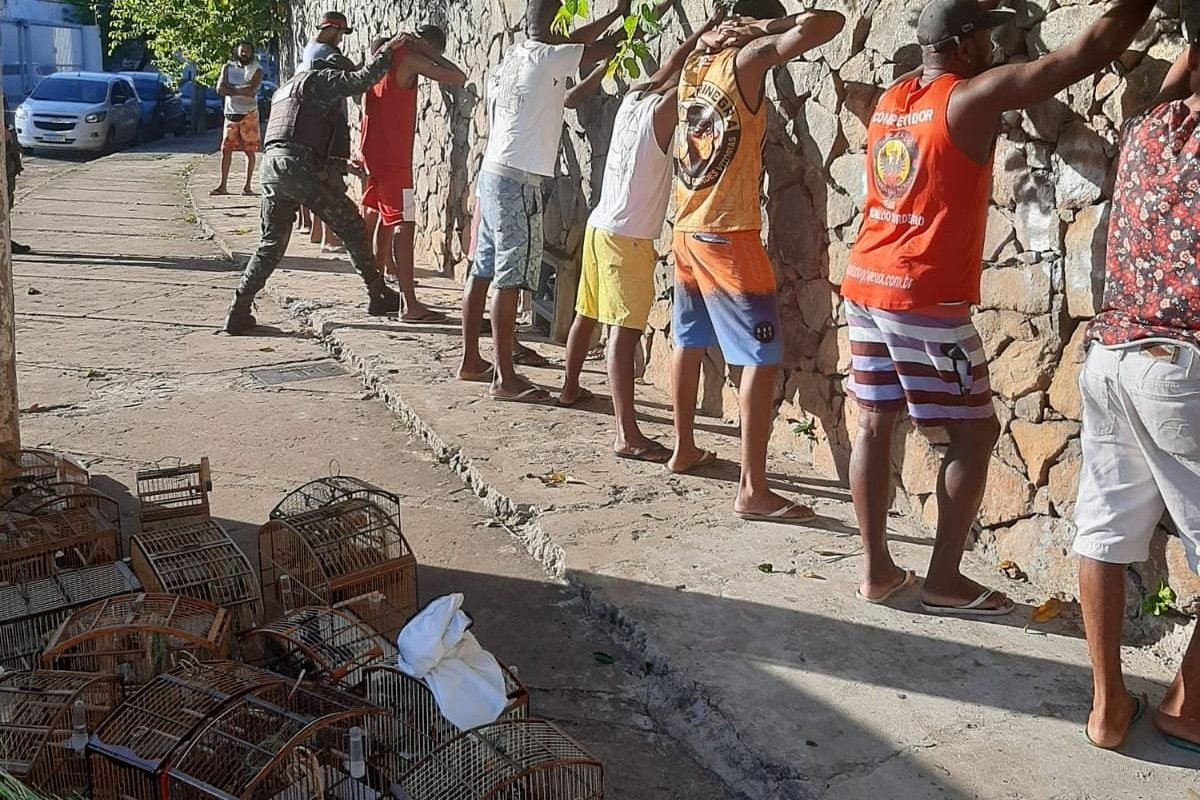 23 aves mantidas em cativeiro ilegal são resgatadas em Salvador