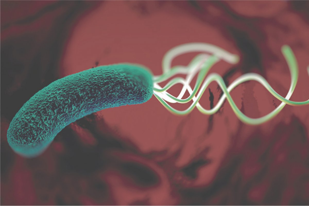 Bactéria que ataca o estômago é alvo de campanha em Salvador