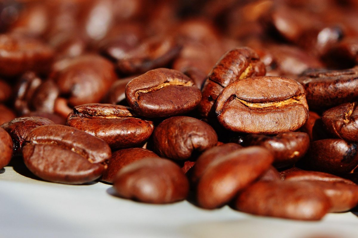 Vendas de café atingem 45% da produção esperada para 2022/23 no Brasil