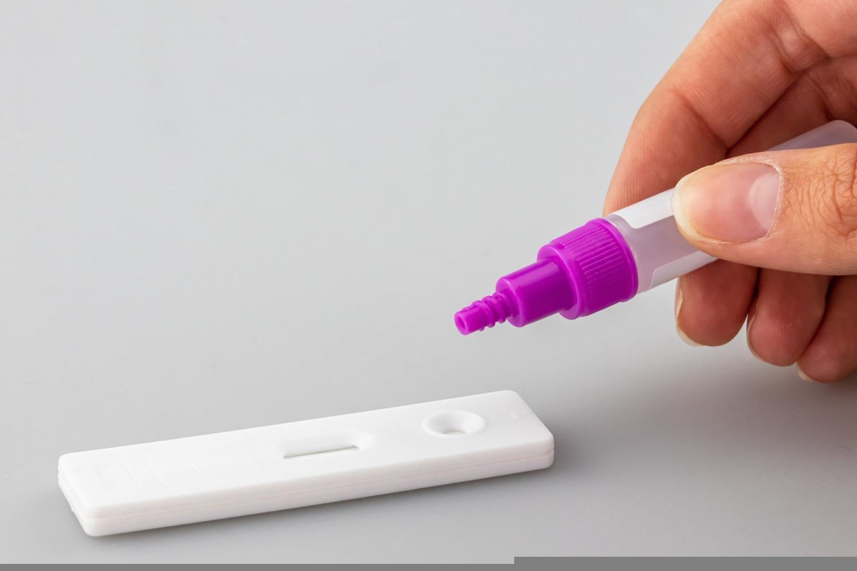 França notifica o primeiro caso de varíola dos macacos em cachorro