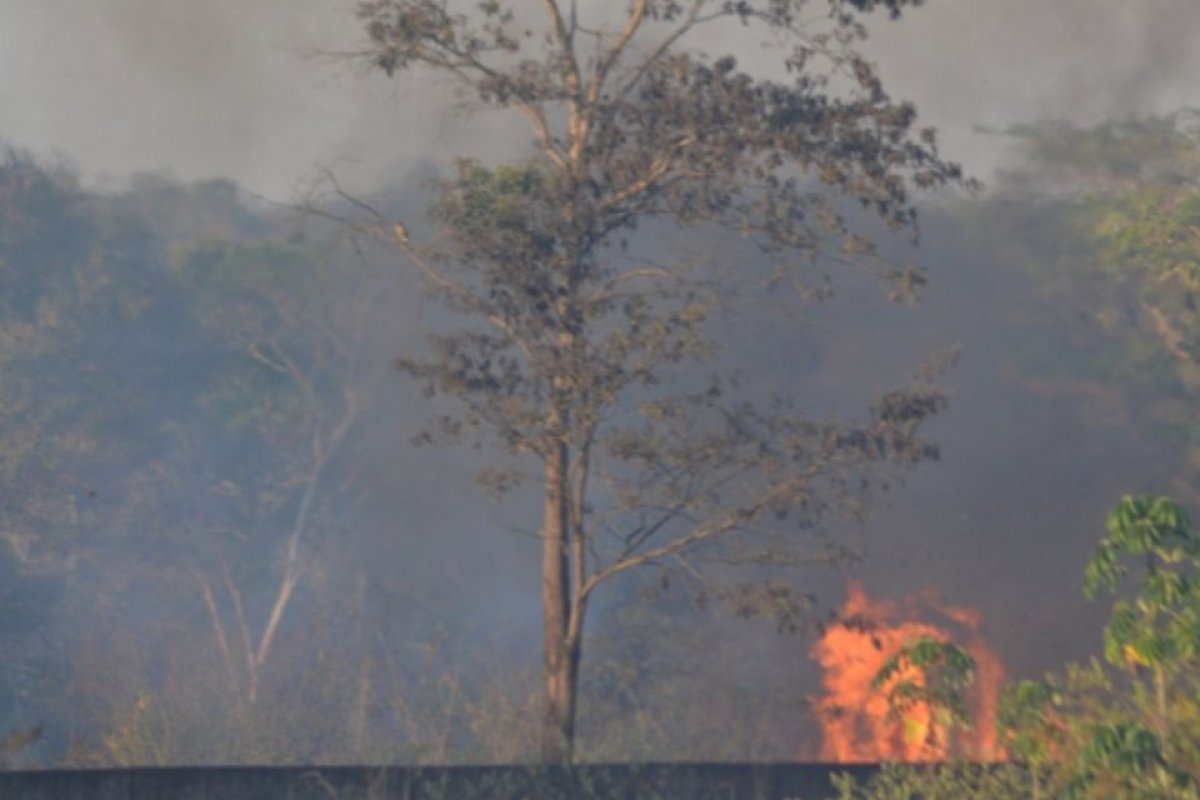 Bombeiros atuam há mais de 24 horas para controlar incêndio em Barreiras