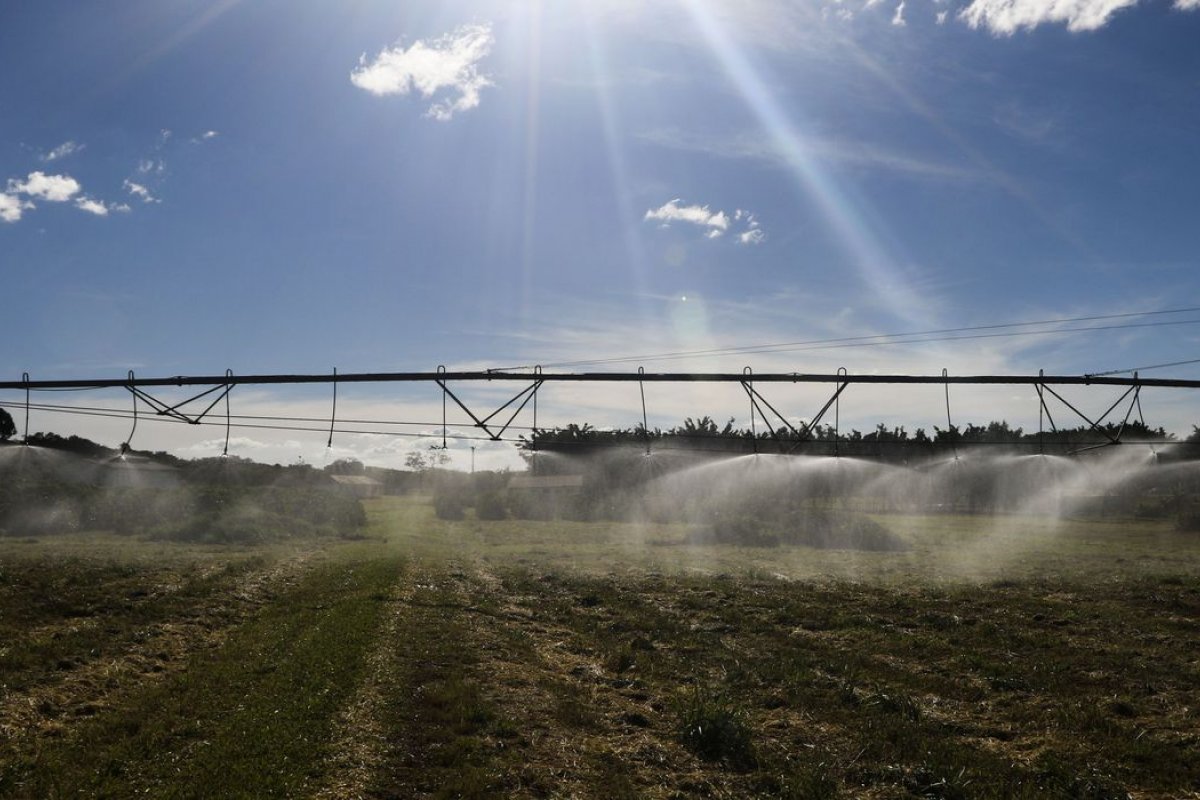 Importação da agropecuária cresce 10,4% no primeiro semestre, aponta FGV