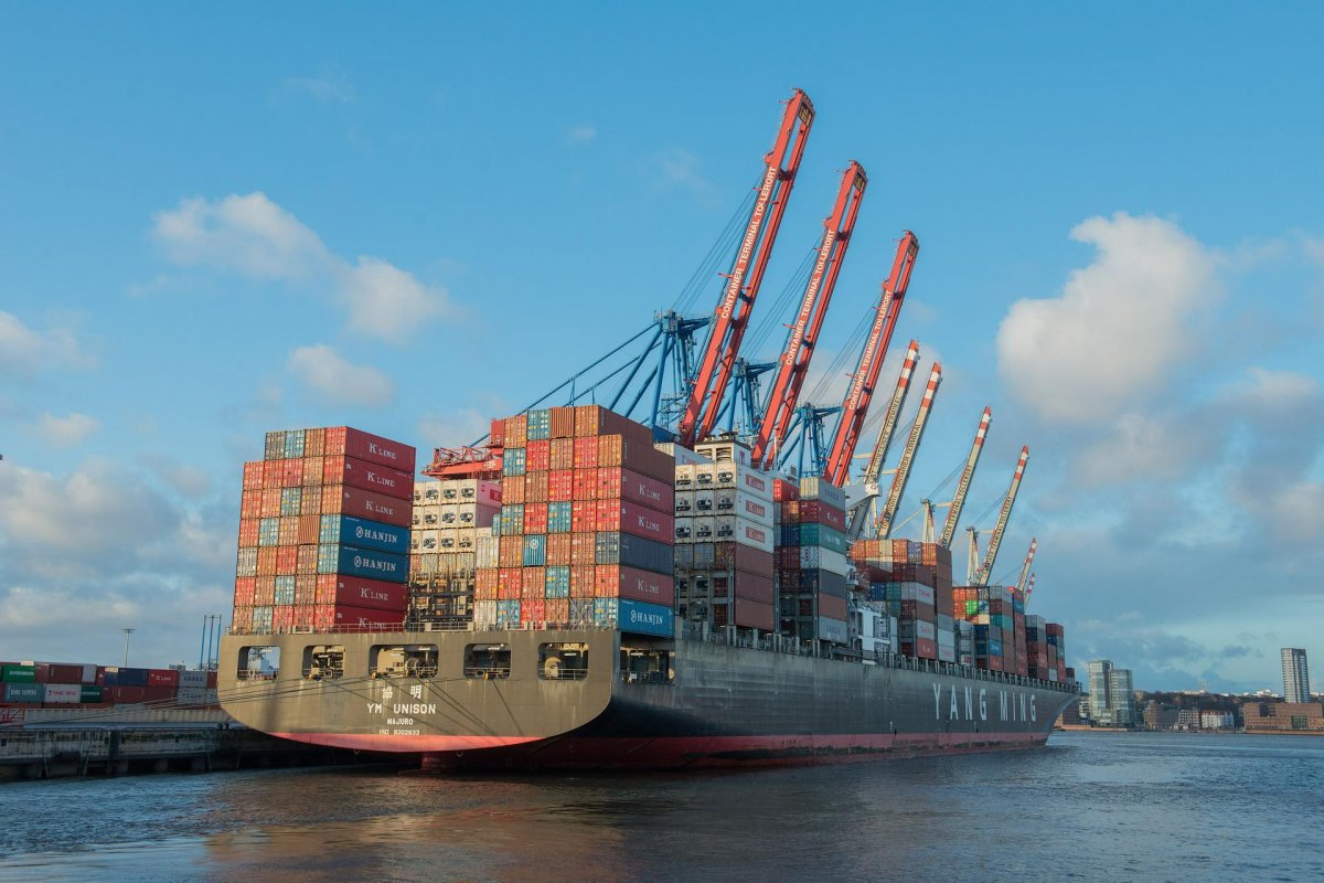 África do Sul suspende antidumping contra frango congelado brasileiro