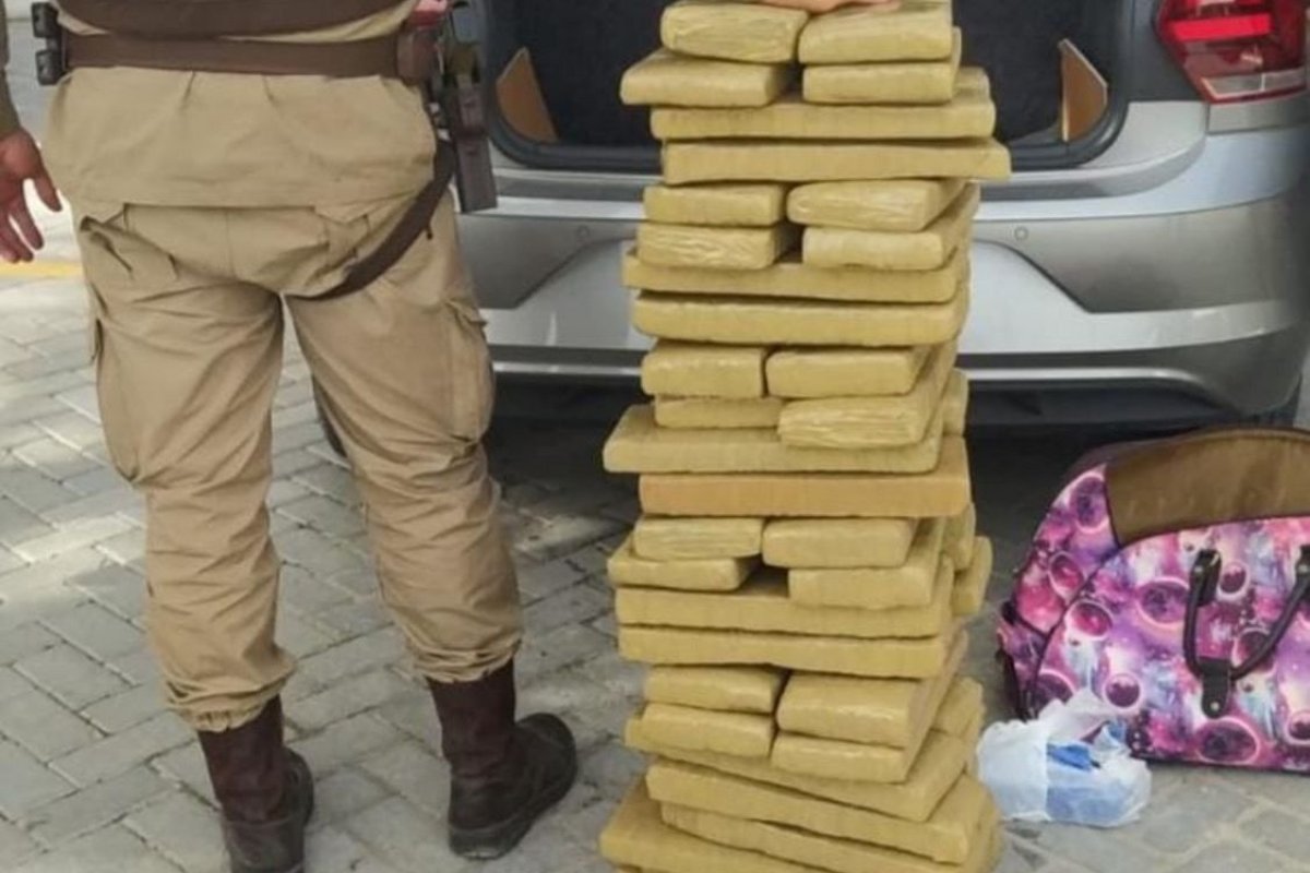 Polícia apreende maconha e cocaína avaliadas em R$ 400 mil na Bahia