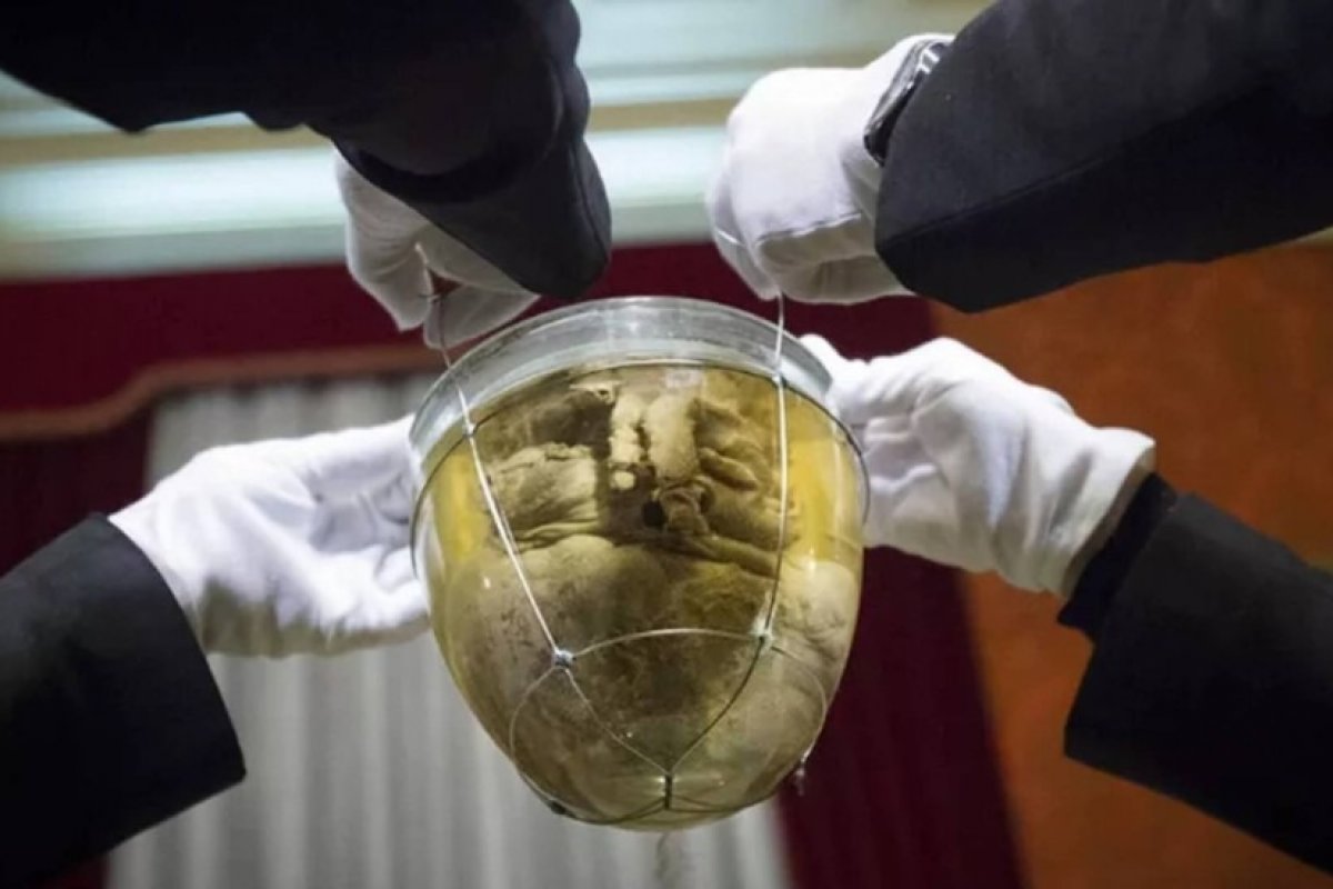 Vinda de coração de D. Pedro I ao Brasil gera preocupações