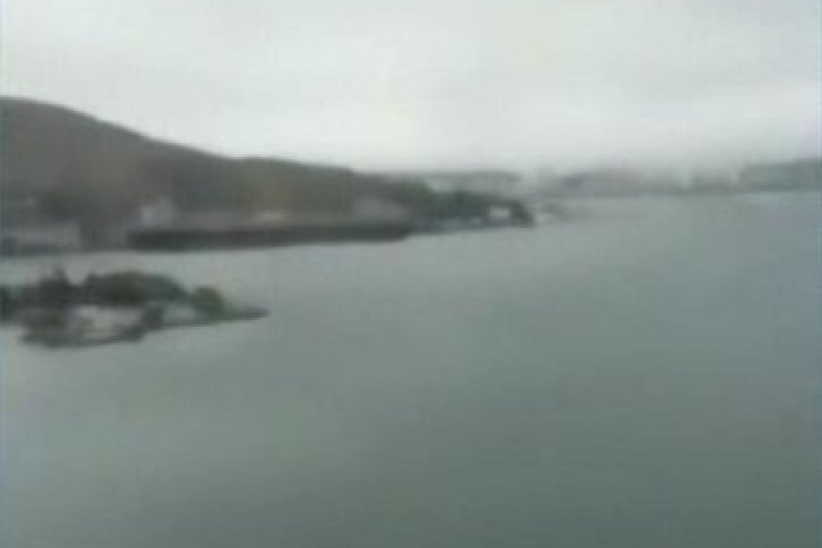 Vídeo: Motorista de ônibus erra caminho no Rio e leva passageiros para outro município