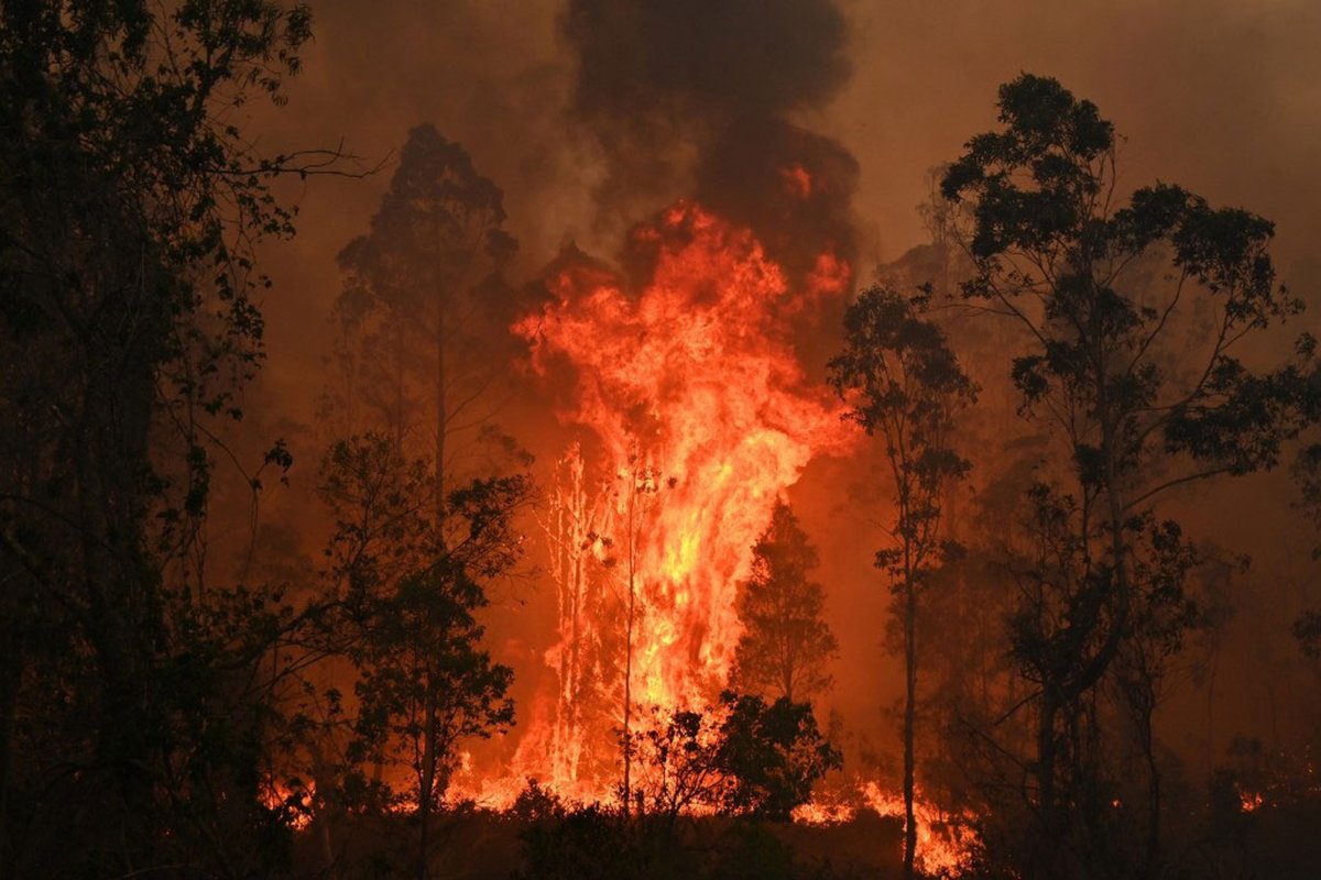 Na Austrália: incêndios deixam 3 mortos e mais de 150 casas destruídas