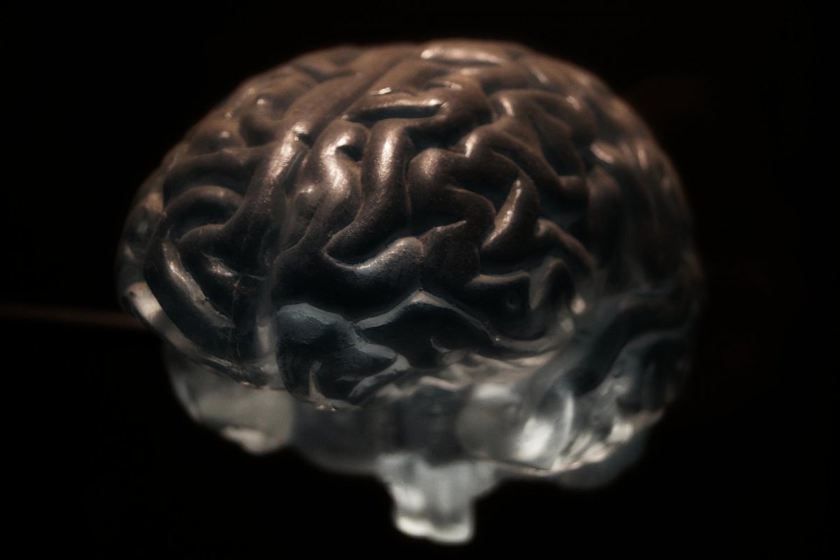 Pesquisadores identificam área do cérebro onde Alzheimer começa a se desenvolver 