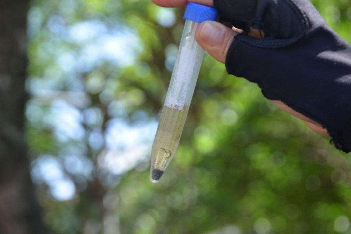 Criança de seis anos morre vítima de dengue