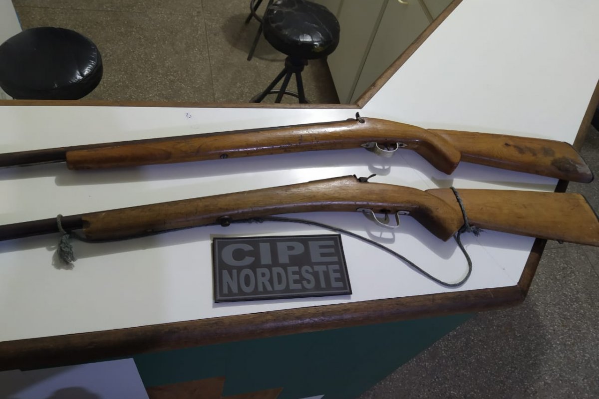 Duas espingardas usadas para matar animais silvestres são apreendidas pela PM