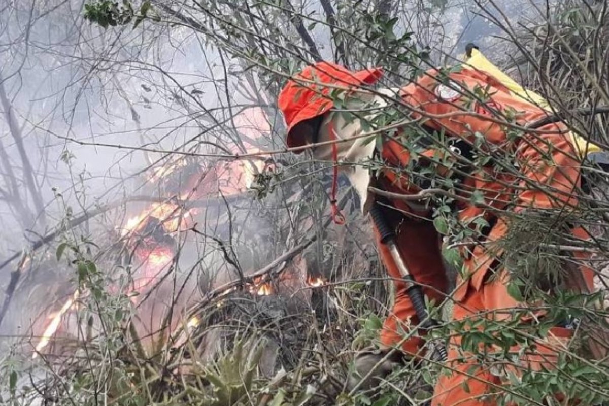 Áreas com focos de incêndio na Chapada Diamantina são monitoradas por bombeiros