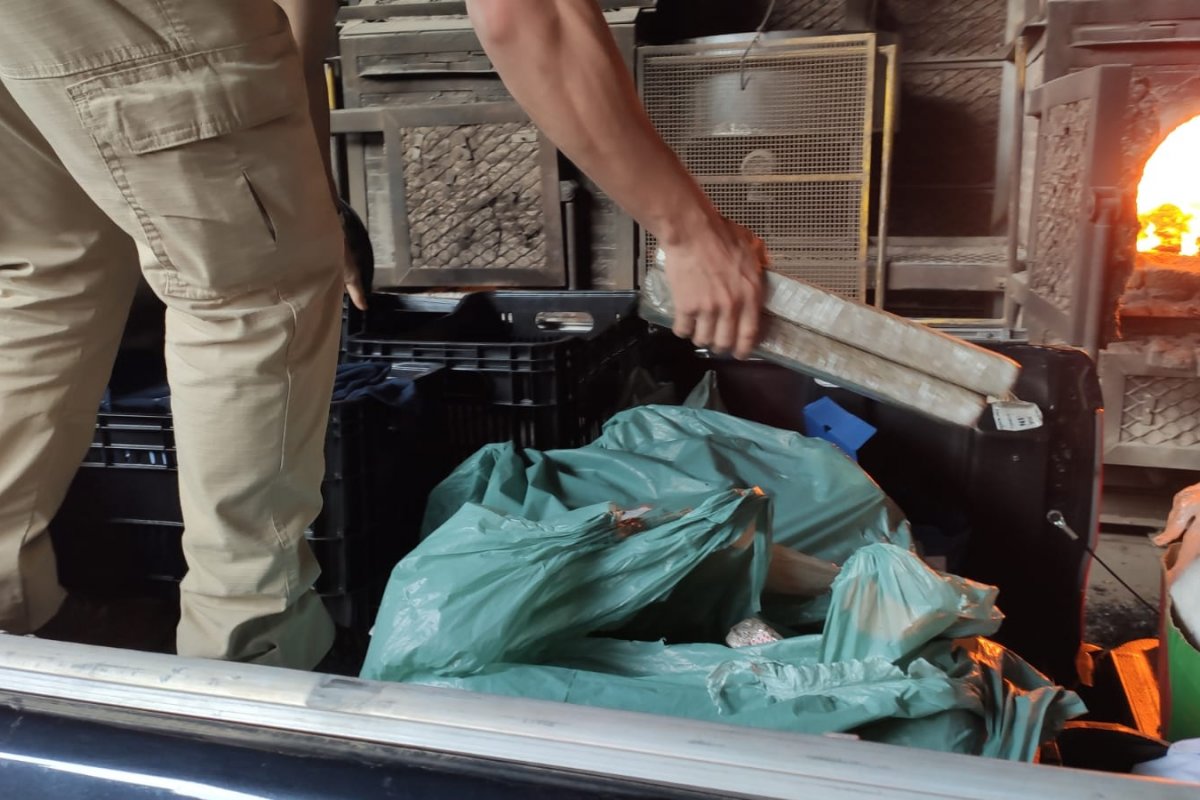 Polícia Civil de Eunápolis incinera 670 quilos de drogas