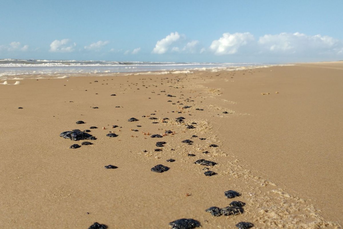 16 kg de fragmentos de óleo são retiradas de praias em Salvador