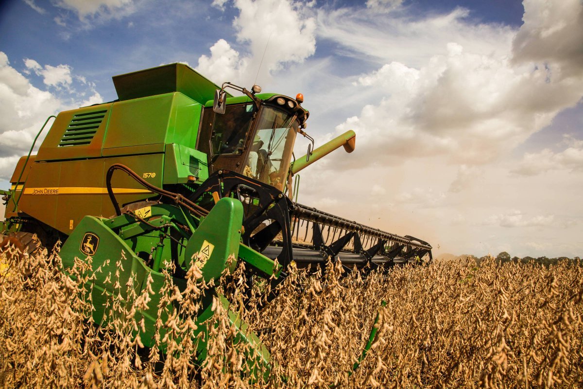 Agronegócio brasileiro emprega mais de 19 milhões em 2022, aponta Cepea
