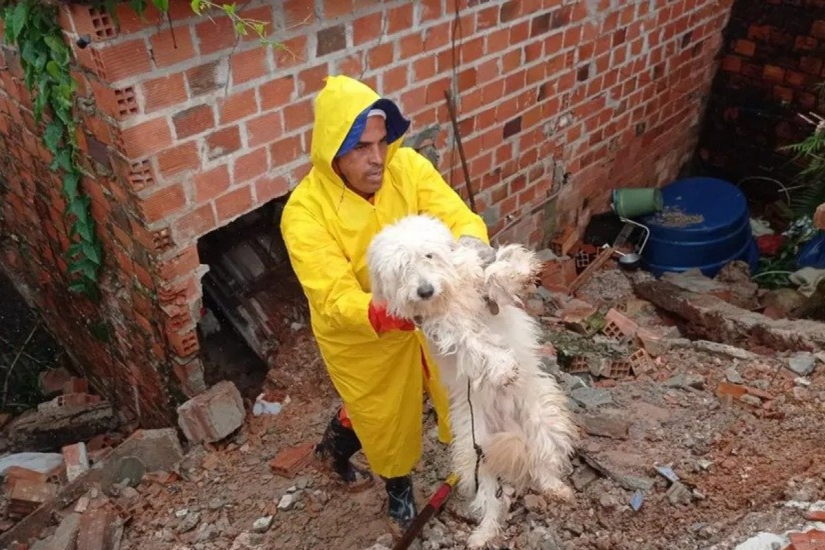 Ameaça de desabamento: Defesa Civil demoliu mais de 105 casas em Camaçari