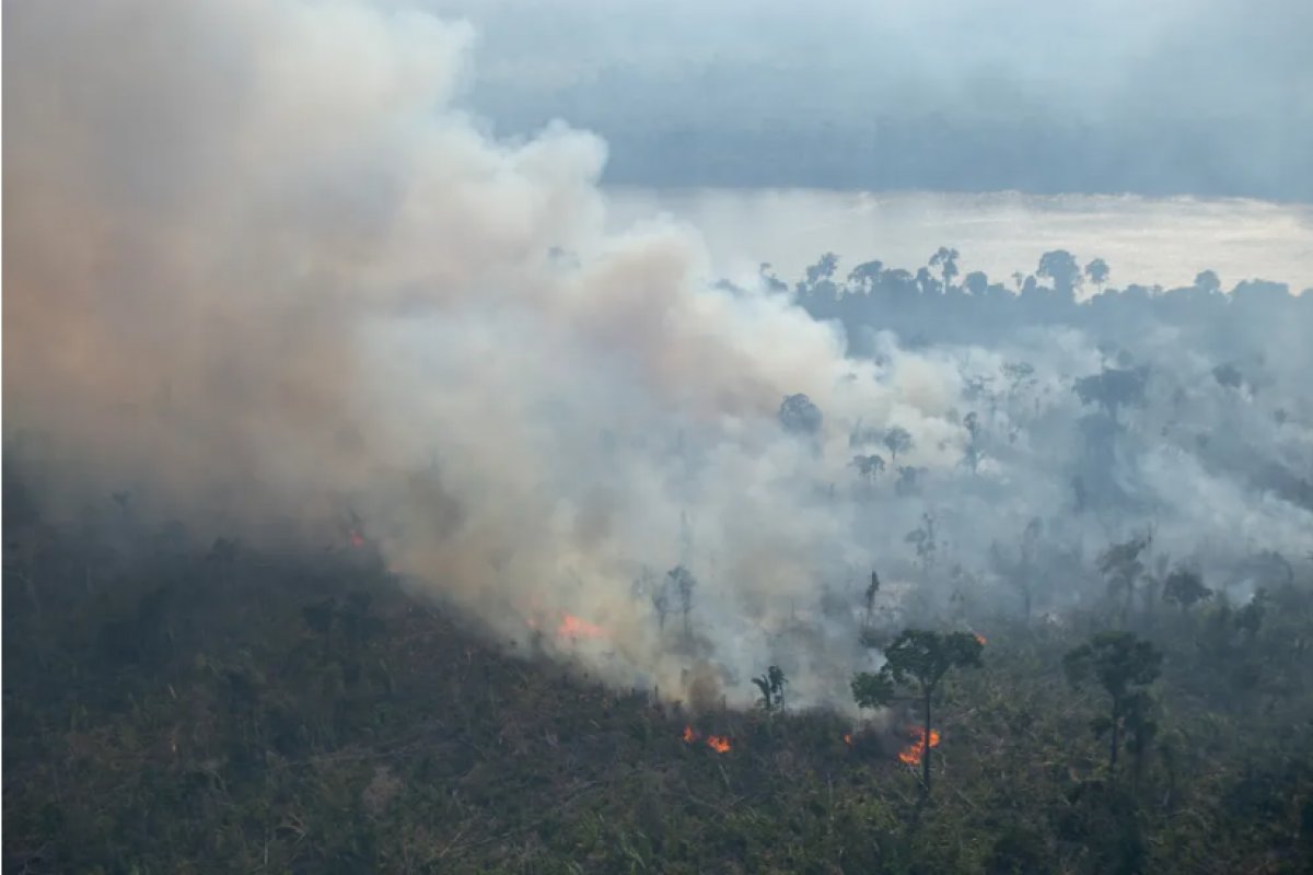Apenas 37% do orçamento para prevenção de queimadas foi executado pelo Ibama, aponta Observatório