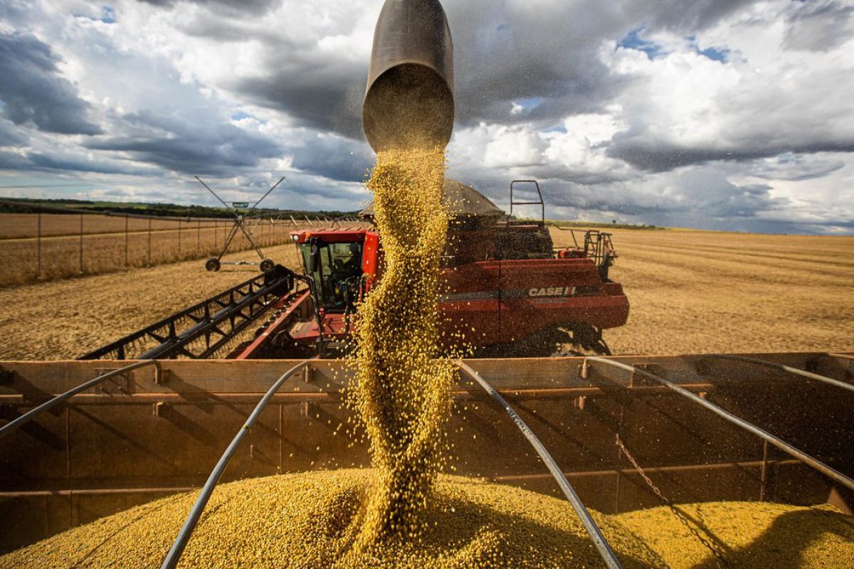 PIB do agronegócio deve fechar em 2,8% este ano