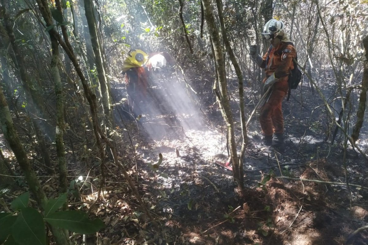 Após 13 dias, incêndio na Chapada Diamantina é controlado