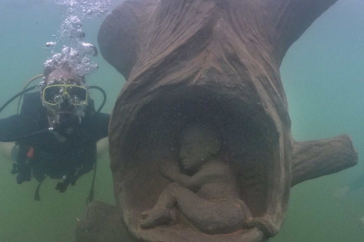 Nascente Azul: conheça as obras de arte do Museu Subaquático de Bonito!