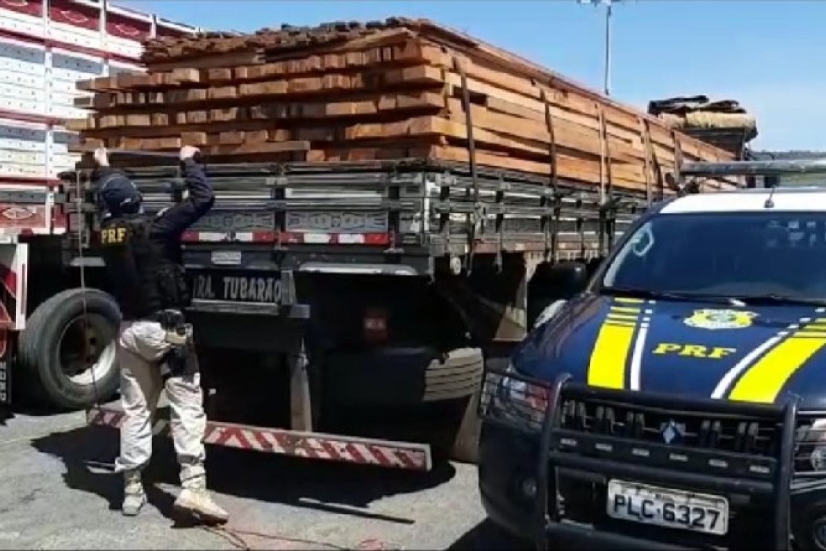 PRF apreende 17,54m³ de madeira ilegal no oeste baiano