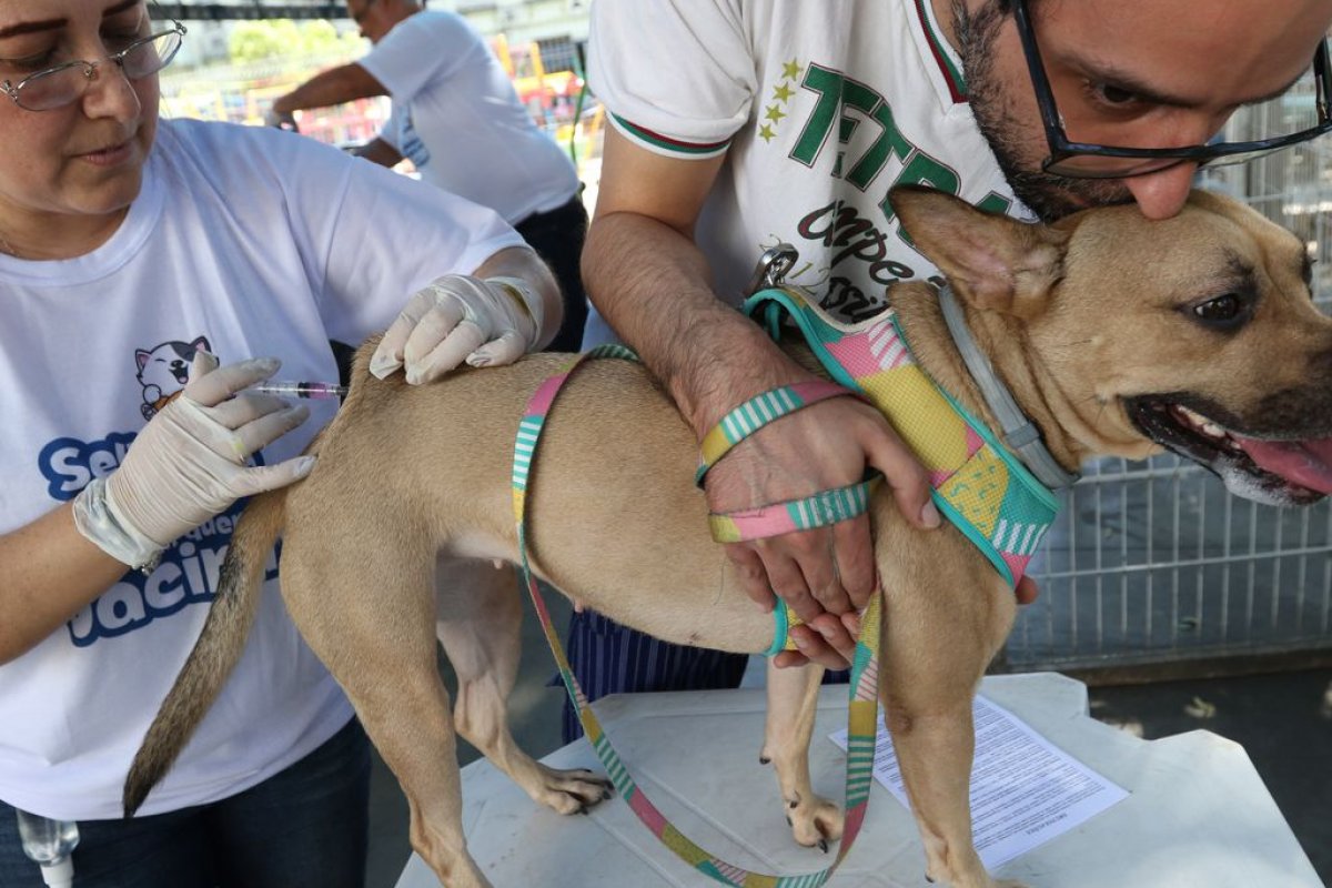 Dia D da campanha de vacinação antirrábica acontece neste sábado (17) em Salvador