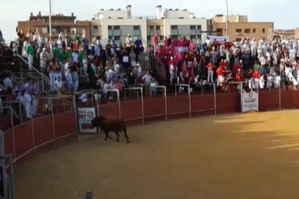 Homem morre após levar chifrada em tourada na Espanha