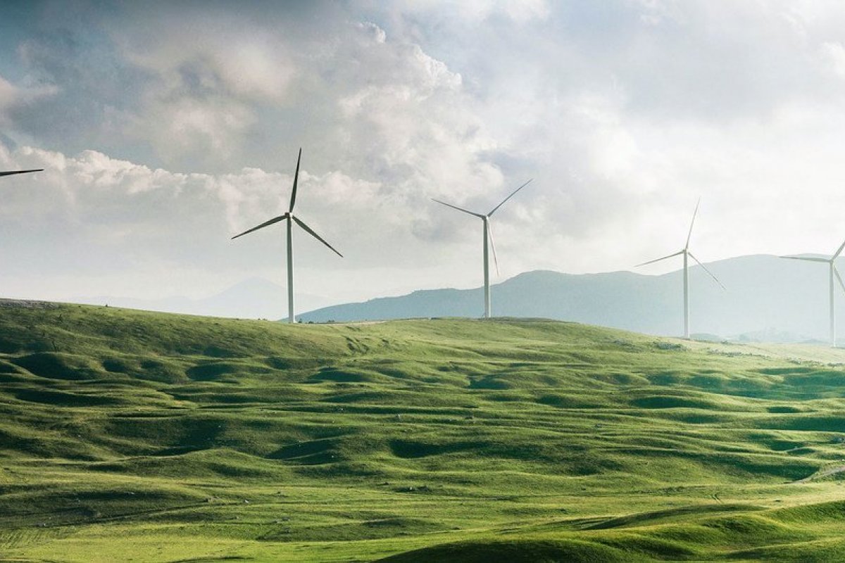 Mundo pode atingir neutralidade em carbono até 2050, aponta estudo