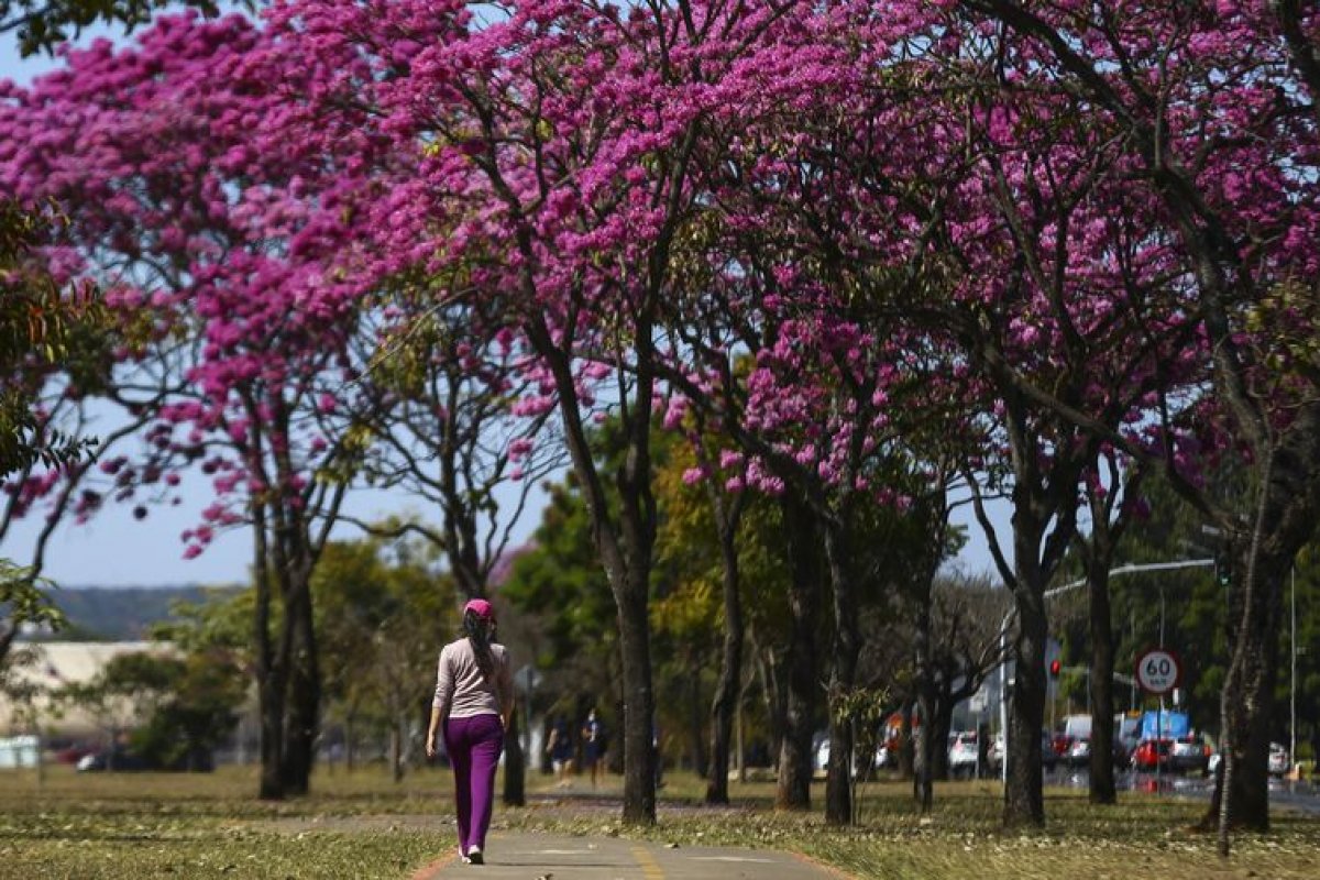 Com presença do La Niña, primavera começa nesta quinta-feira (22)