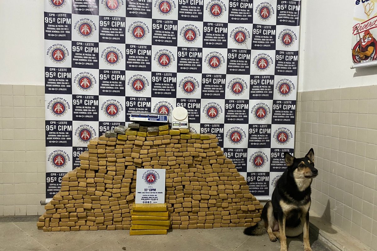 Cão Farejador da PM localiza 493 tabletes de maconha em Catu