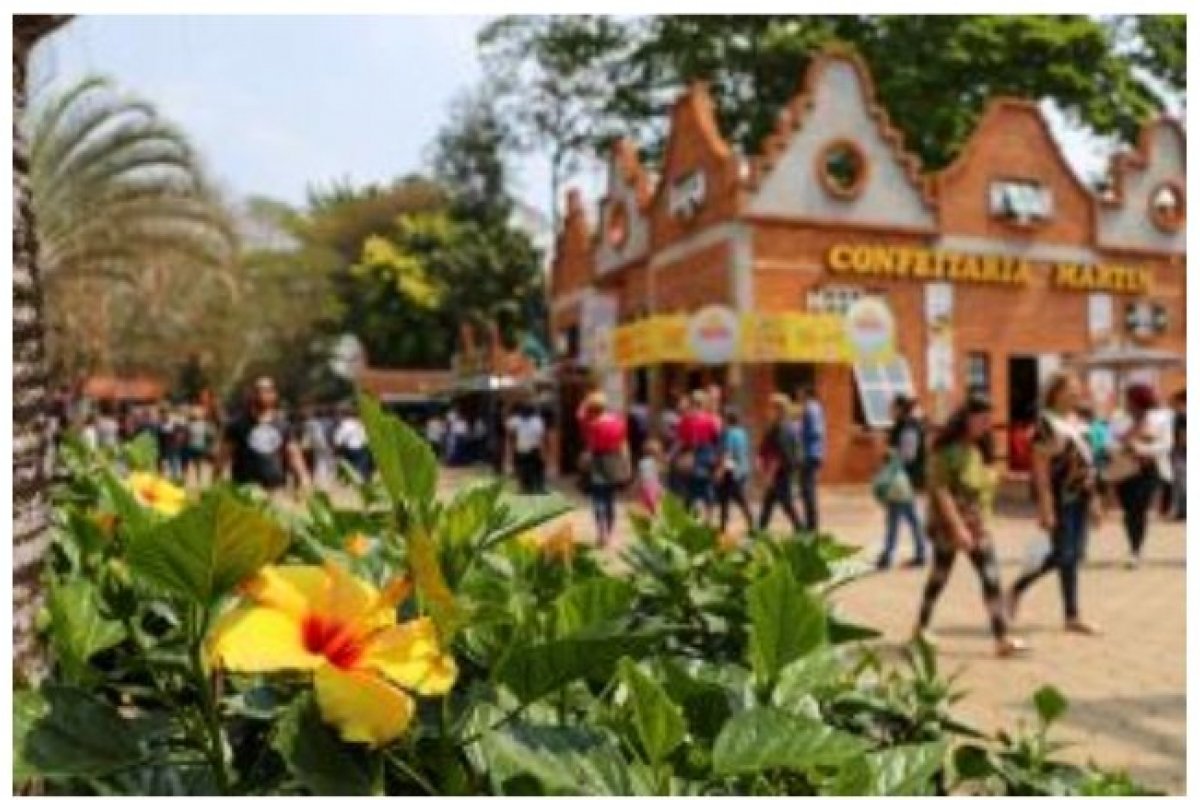 Expoflora supera expectativa e recebe a visita de cerca de 260 mil visitantes!