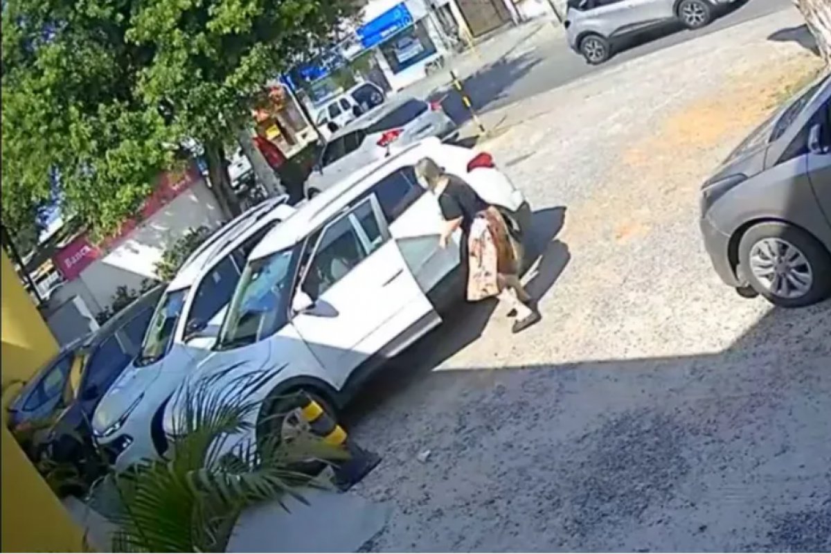 Mulher tem gata de estimação levada de carro durante assalto em Lauro de Freitas (BA)