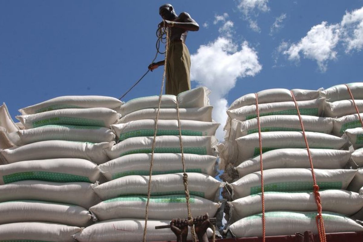 ONU: Agência pede a países do G-20 que não deixa a insegurança alimentar se agravar por falta de comida