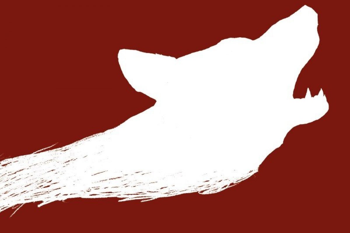 Diplomata brasileiro lança livro com contos de horror!