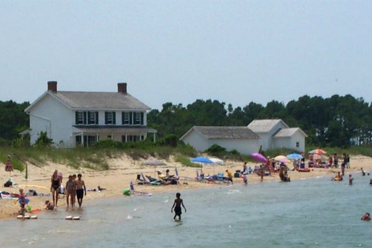 Vacas que tinham sido levadas pelo furacão Dorian são encontradas vivas