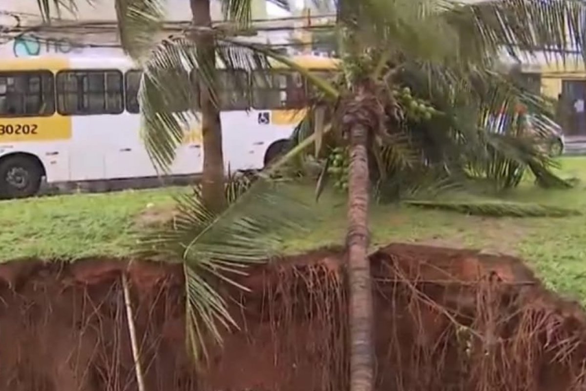 Cratera se abre no canteiro da Rua Adhemar de Barros, em Ondina