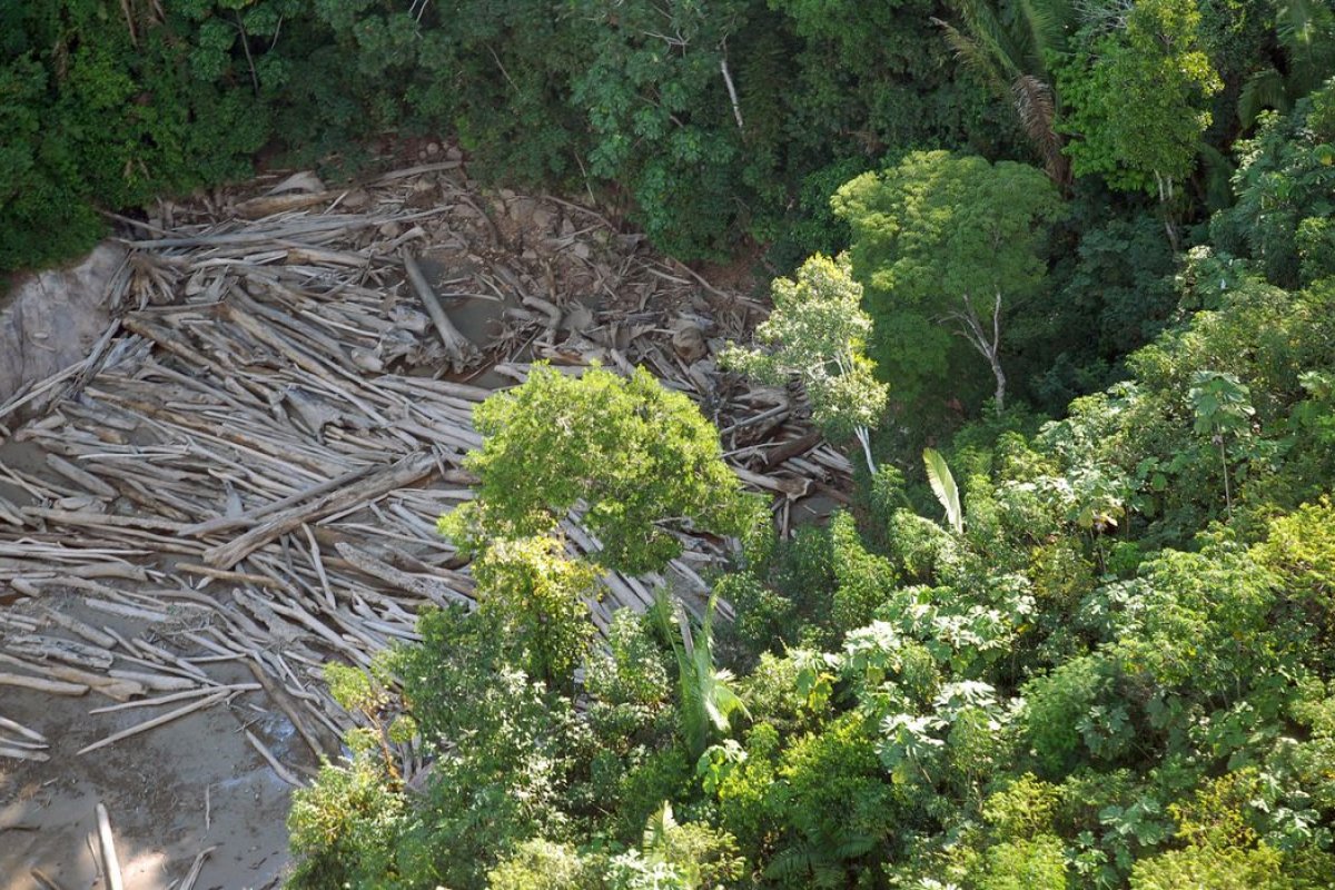 Desmatamento na Amazônia atinge recorde em setembro, aponta Inpe