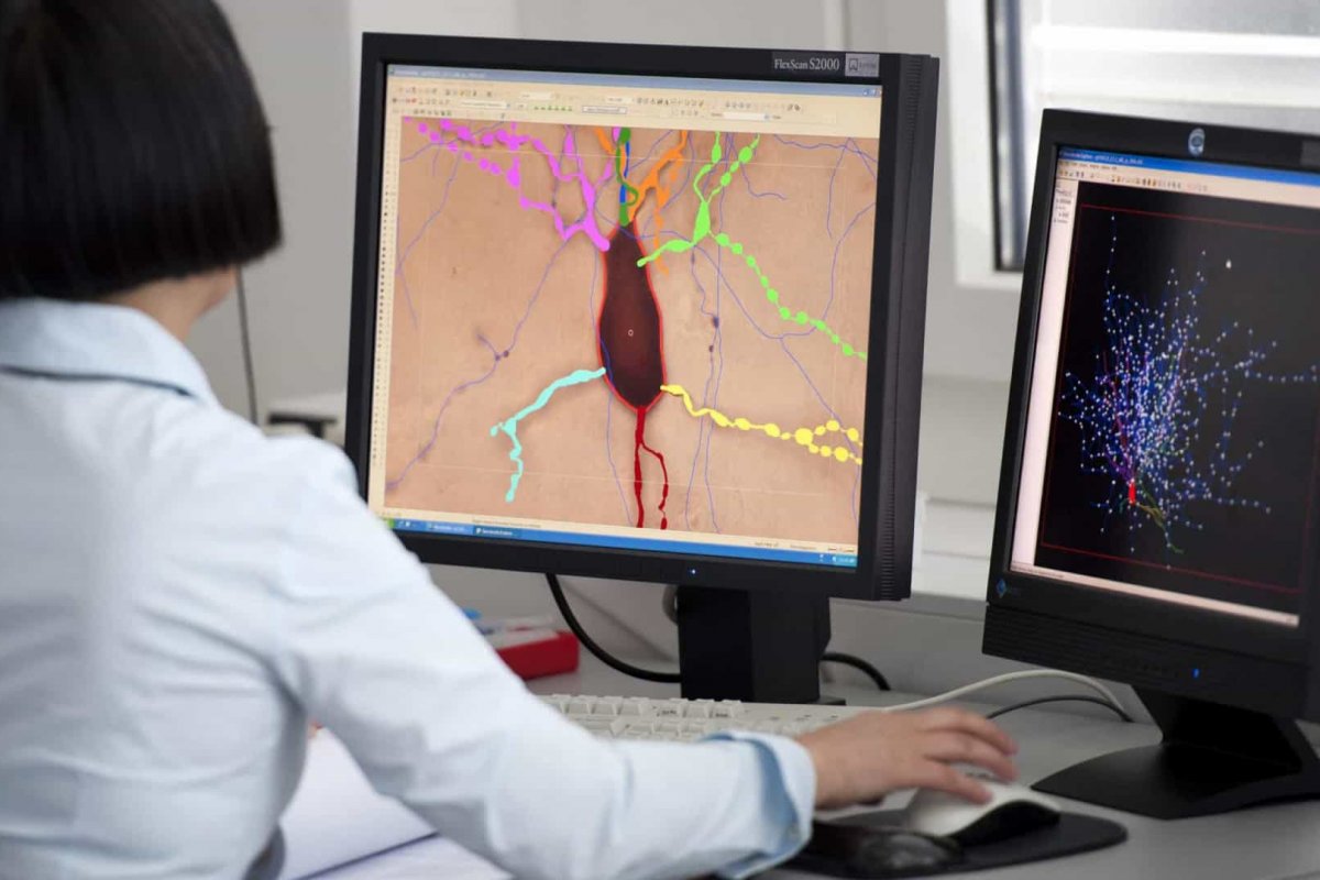 Estudo conclui que lítio reverte males da radiação no cérebro