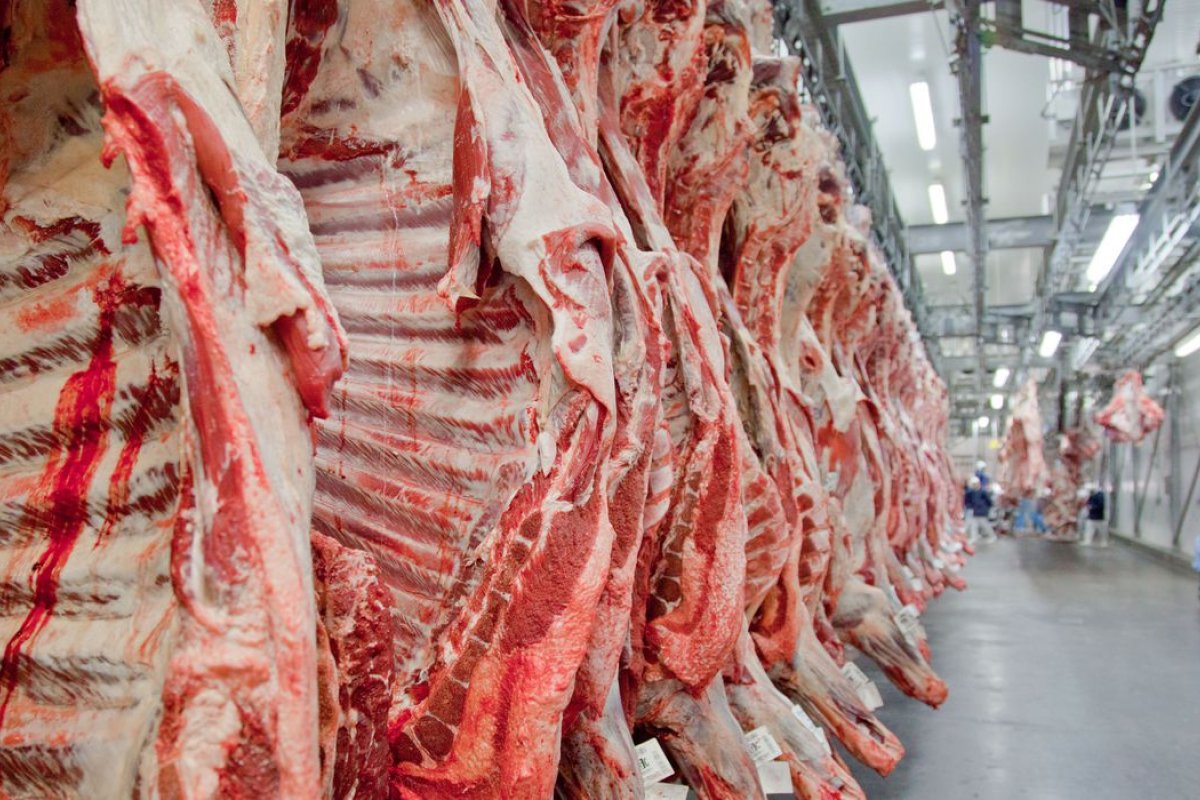 Mais de 200 mil toneladas de carnes foram exportadas no Brasil em 2022