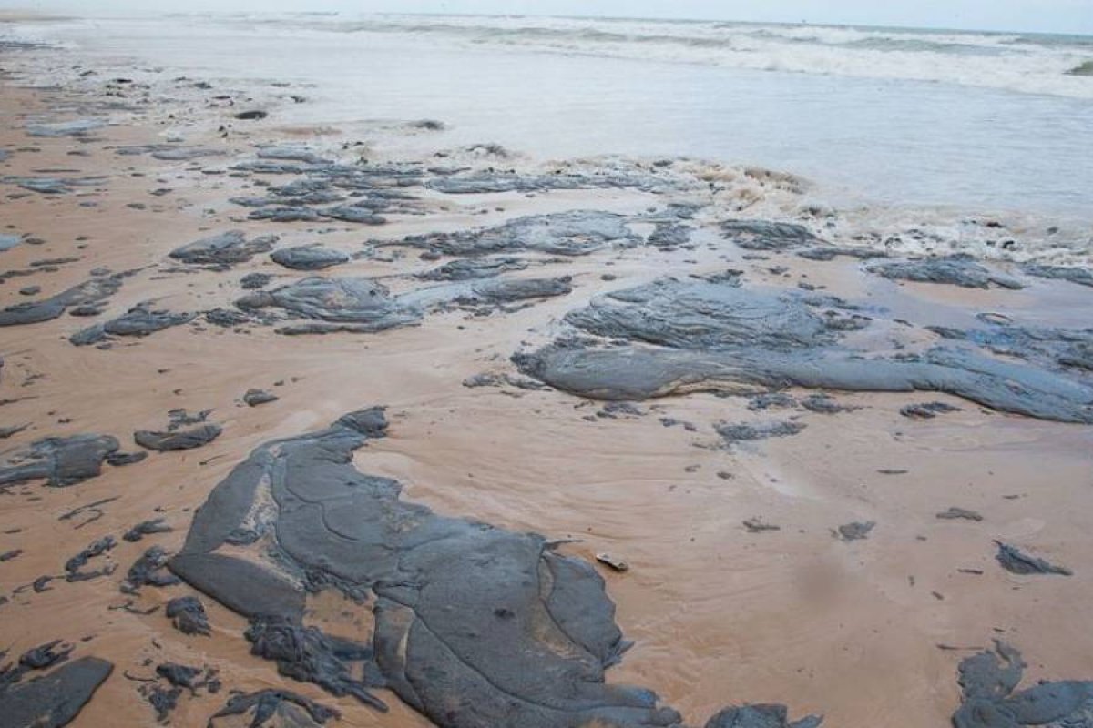 Mancha de óleo: MPF faz pedidos à Justiça para proteção de áreas vulneráveis em Sergipe