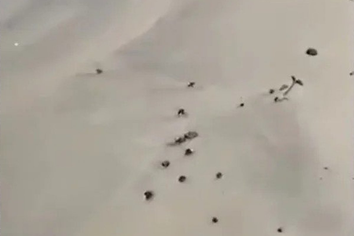 Manchas de óleo voltam a aparecer em Ilhéus, no sul da Bahia