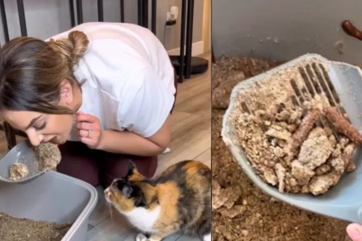 Vídeo: jovem chama atenção da internet por comer bolo em formato de caixa de areia