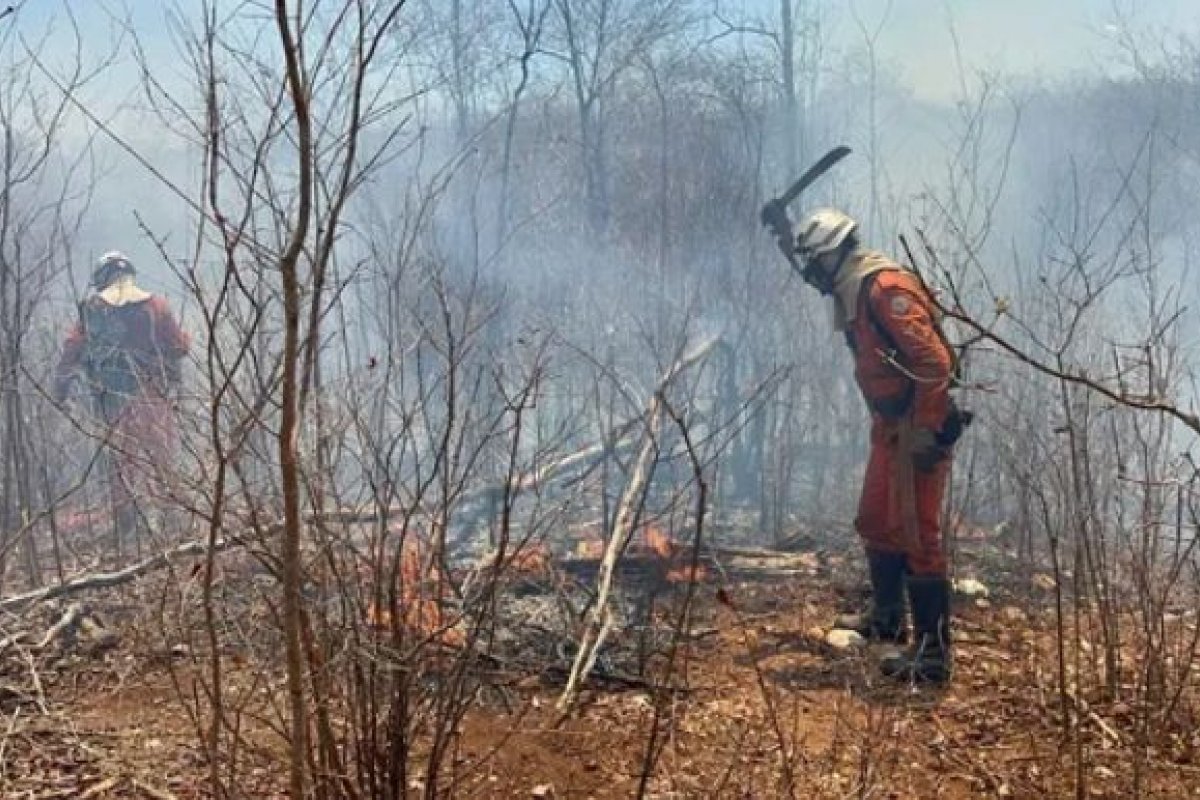 Incêndios florestais seguem em diversas regiões da Bahia