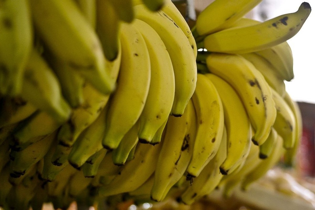 Menor oferta eleva preços de hortaliças e frutas em setembro