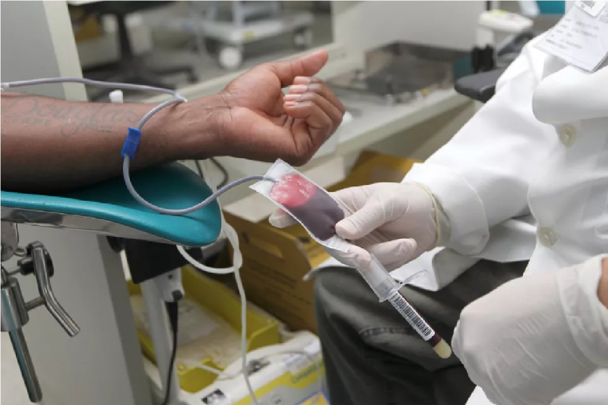 Hemoba tem estado crítico com baixo estoque de sangue na Bahia; Saiba como doar