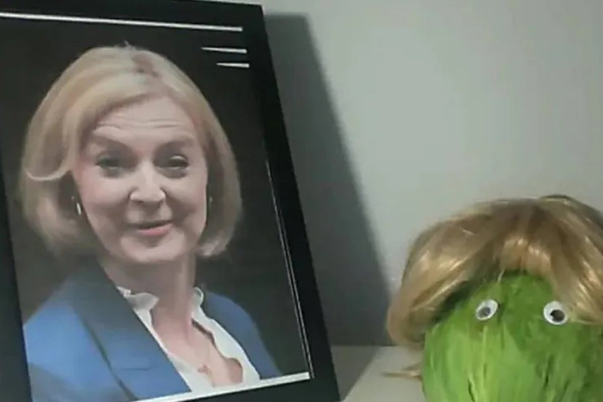Nossa alface durou mais que Liz Truss, diz jornal britânico após renúncia