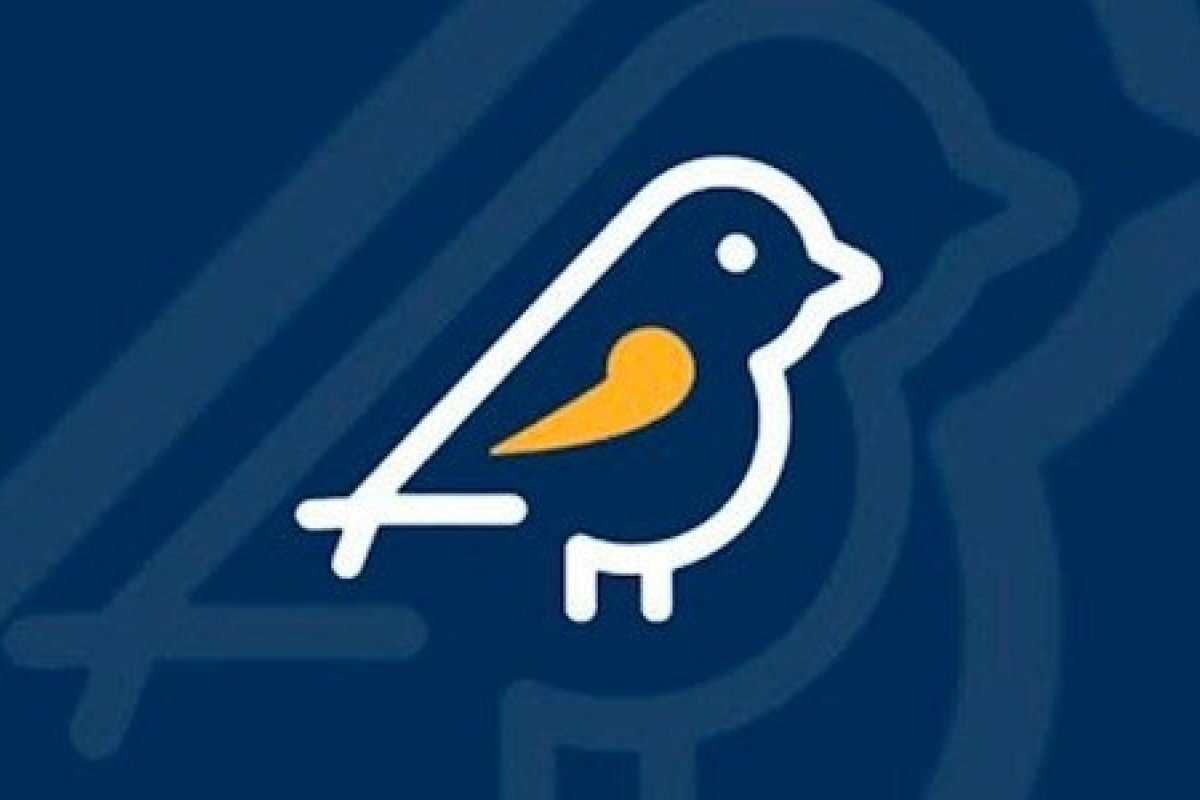 Vídeo: eleitora diz que aplicativo Pardal não receba denúncias de irregularidades do PT