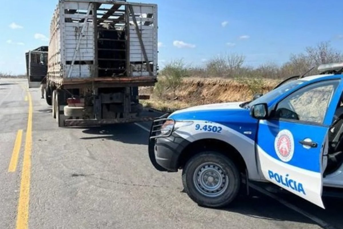 Homem é preso e adolescentes são apreendidos por suspeita de roubar 13 cabeças de gado na Bahia